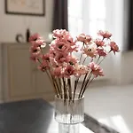 Magnolia 4* Budapest