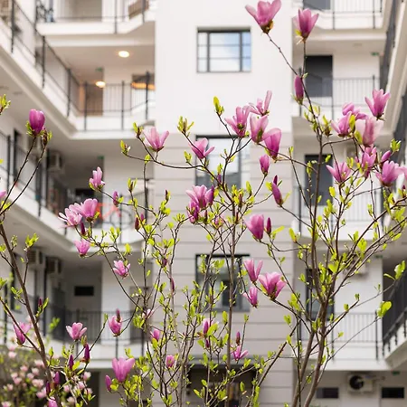 Magnolia 布达佩斯