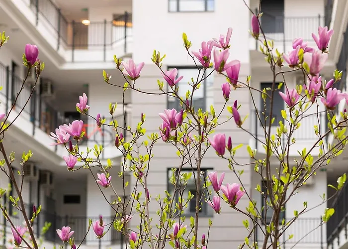 Magnolia 布达佩斯