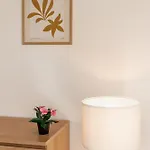 아파트호텔 Magnolia 4*